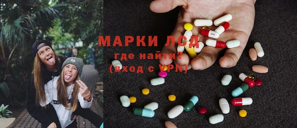 мяу мяу мука Бородино