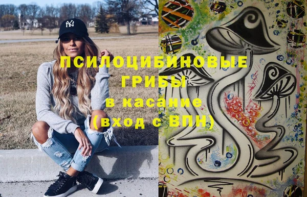 тгк Арсеньев